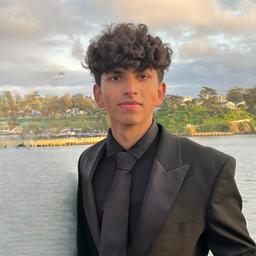 Vivek Nalluri