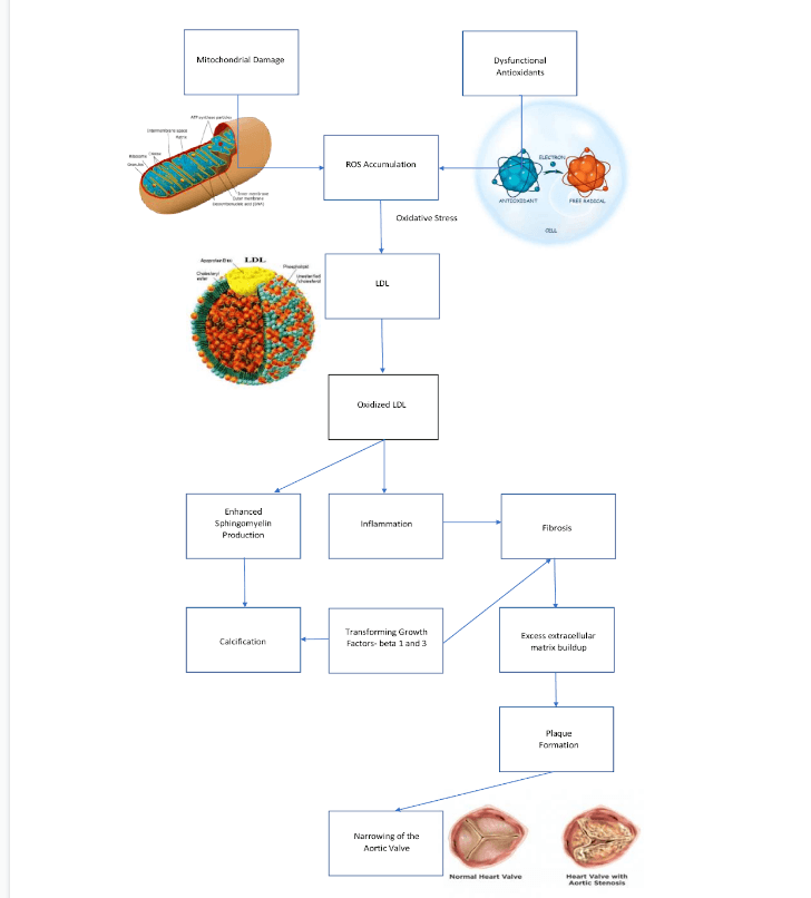 Portfolio item's cover image