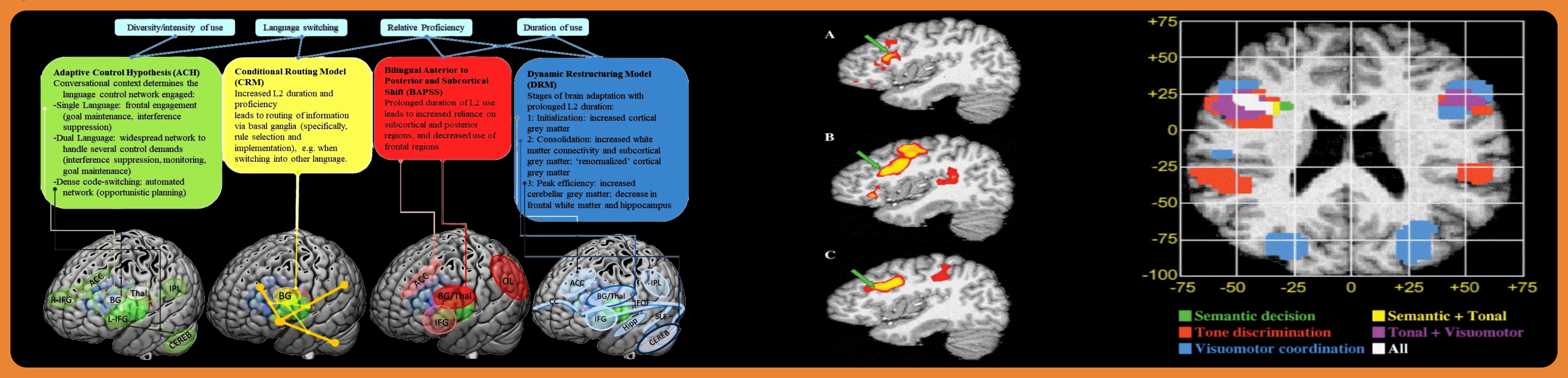 Portfolio item's cover image