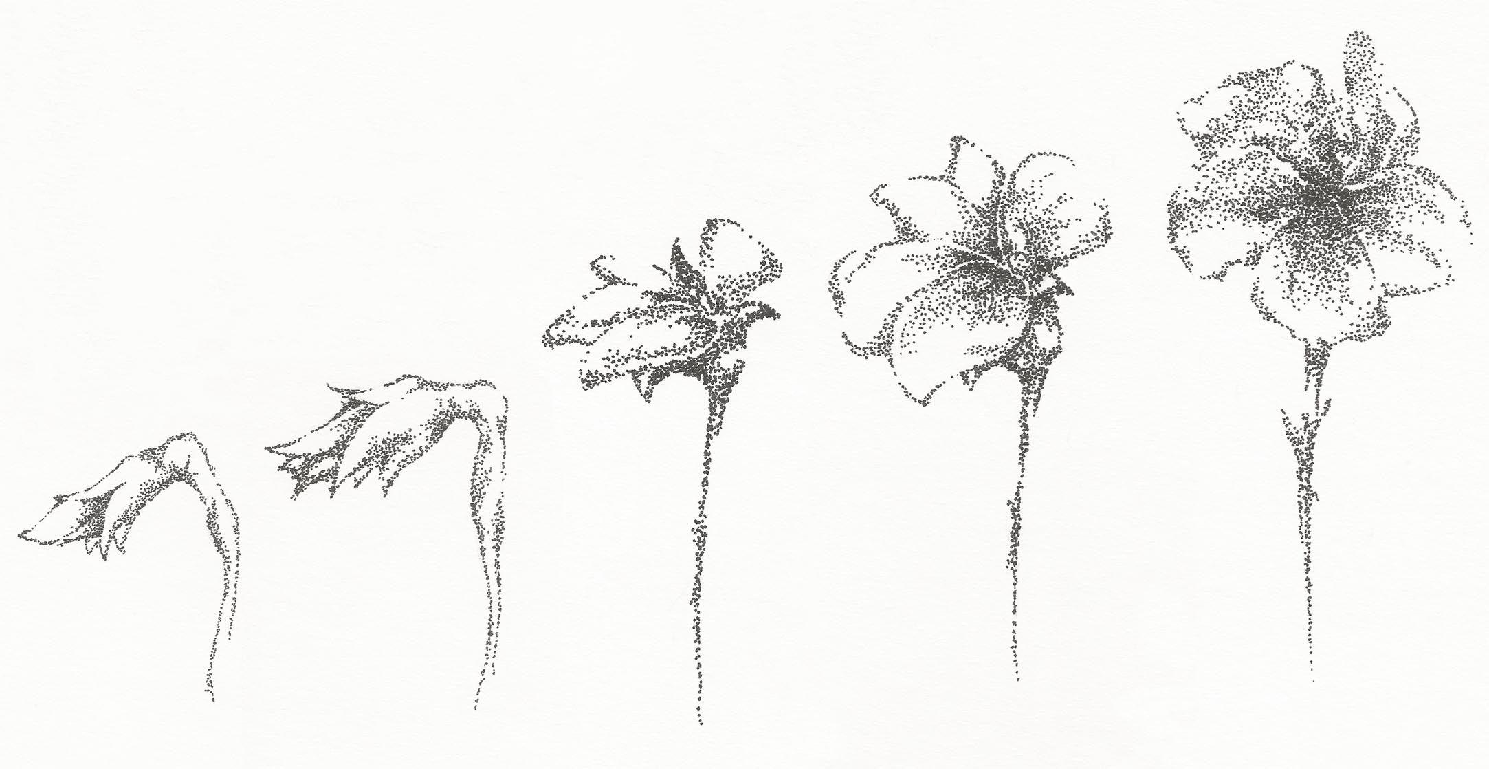 Portfolio item's cover image