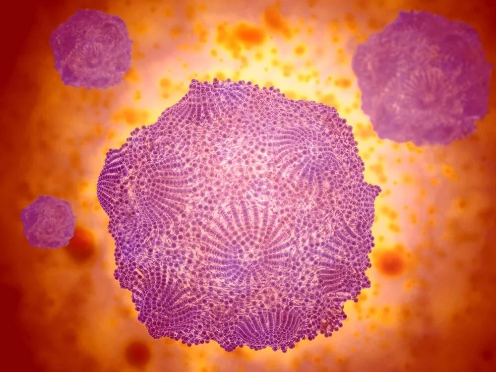 Portfolio item's cover image