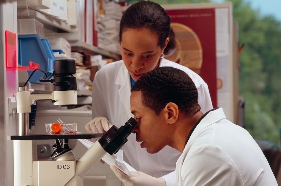 two researchers examine a sample with a microscope